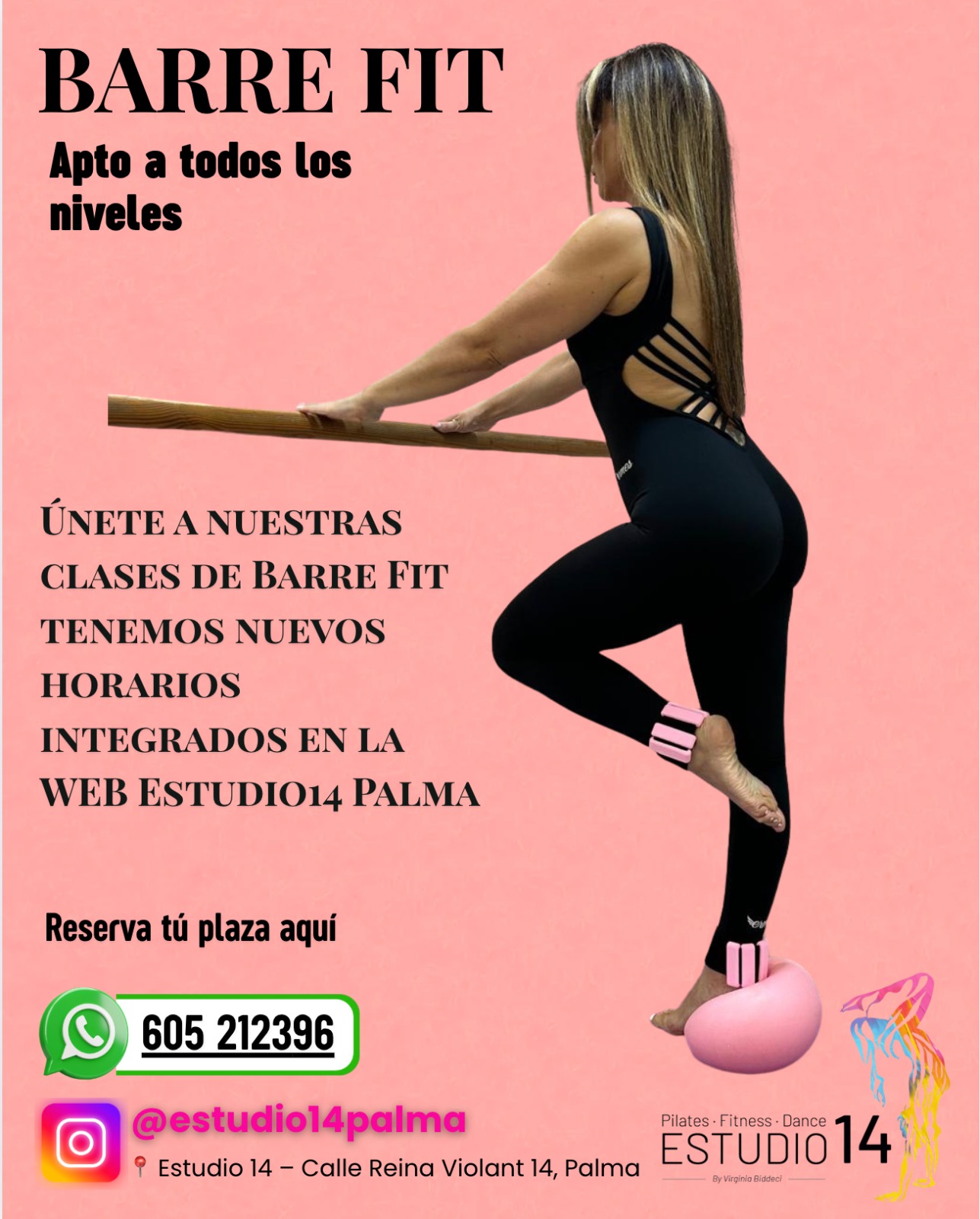 barre fit en palma
